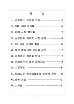 국내 업체들의 반도체, LCD 경쟁전략 - 삼성전자, LG 보고서-2