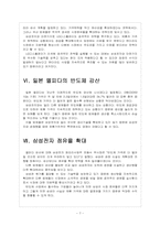 국내 업체들의 반도체, LCD 경쟁전략 - 삼성전자, LG 보고서-7