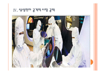 국내 업체들의 반도체, LCD 경쟁전략 - 삼성전자, LG PPT자료-12