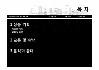 [관광마케팅] 상용 및 여가목적 여행시장-2
