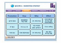 [마케팅전략] 알파우루사 판매촉진 전략-6