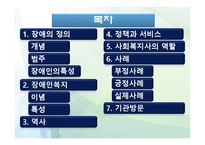 [사회복지실천론] 장애인 복지의 이해와 사례-2