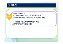 [사회복지실천론] 장애인 복지의 이해와 사례-13
