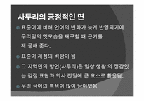 [언어학의이해] 사투리의 이해-19