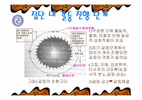 갈등의원인과진행단계,갈등에대한발표PPT,갈등의진행단계,경쟁함정-3