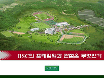 BSC 모델에 의한 진단-14