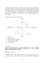 애완용품 swop 분석-8