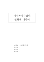 [여성복지] 여성복지사업의 현황에 대해서-1