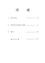[여성복지] 여성복지사업의 현황에 대해서-2