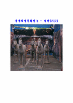 [중국문화] 중국의 고도 서안(西安)의 위상-1