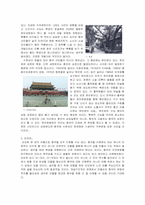 [중국여행] 북경여행-3