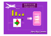 [국제경영] 메리케이화장품Mary Kay Cosmetics 마케팅과 경영전략-5