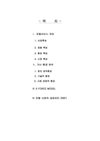 [전략경영] 포탈산업구조분석- 글로벌경영전략-2