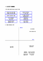 [전략경영] 포탈산업구조분석- 글로벌경영전략-19