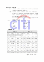 [국제경영] 시티은행 경영분석-5