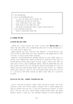 [브랜드경영] 대구시 공동브랜드 쉬메릭 브랜드육성 방안-8
