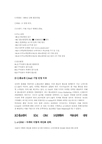 [경영정보시스템] CJmall사례를 통한 MIS 분석-19