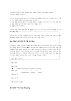 [경영정보시스템] CJmall사례를 통한 MIS 분석-20