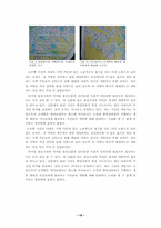 [환경문제] 난개발의 실태 및 대책 - 용인지역을 중심으로-19