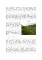 [환경문제] 난지도의 친환경적 복원과 폐기물 처리-6