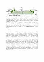 [환경문제] 난지도의 친환경적 복원과 폐기물 처리-9