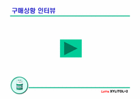[마케팅] 롯데 자일리톨+2 마케팅전략기획서-2