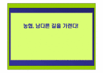 [인터넷광고] 농협 온라인마케팅전략기획서-1