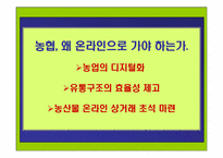 [인터넷광고] 농협 온라인마케팅전략기획서-2