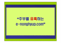 [인터넷광고] 농협 온라인마케팅전략기획서-11