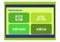 [인터넷광고] 농협 온라인마케팅전략기획서-14