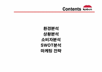 [마케팅] 교촌치킨 마케팅기획서-3