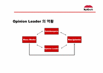 [마케팅] 교촌치킨 마케팅기획서-11