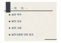 [시장조사] 인터넷서비스에 관한 설문조사-2