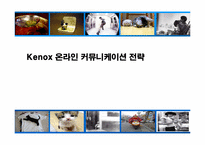 [인터넷광고] 케녹스Kenox 온라인 커뮤니케이션 전략-1