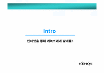 [인터넷광고] 케녹스Kenox 온라인 커뮤니케이션 전략-3