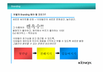 [인터넷광고] 케녹스Kenox 온라인 커뮤니케이션 전략-17