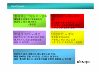 [인터넷광고] 케녹스Kenox 온라인 커뮤니케이션 전략-19
