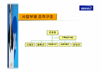 [국제경영] 삼성전자 해외사업조직도-16