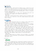 [국제경영] 항공사 얼라이언스에 대해서-14