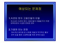 [국제경영] LG전자 인도마케팅전략-12
