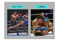 [일분문화] 이종격투기에 대해서-4
