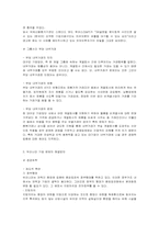 [경영학] 한국 대기업의 실태와 문제점-13