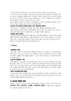 [국제마케팅] LG전자의 인도 마케팅전략-12