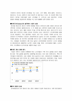 [기업분석] 중저가 가상 의류업체 마케팅 전략 수립-4