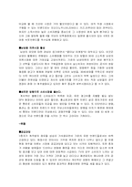 [기업분석] 중저가 가상 의류업체 마케팅 전략 수립-7