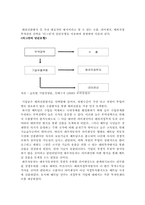 [해외투자] 해외자회사설립의 성공사례-대우자동차의 베트남진출-10