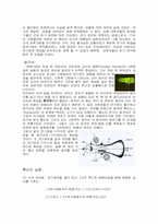 [물리현상] 전자의 발견과 원자의구조-2