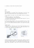 [물리현상] 전자의 발견과 원자의구조-5
