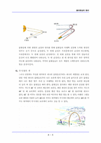 [색상의물리학] 저녁노을과 무지개(전자기학)-6