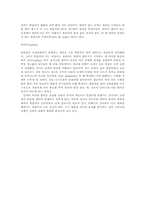 비행기의 원리 레포트-13